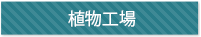 植物工場としてのコンテナ利用